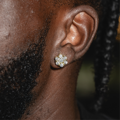 Big-Pointer Honey Comb Earrings